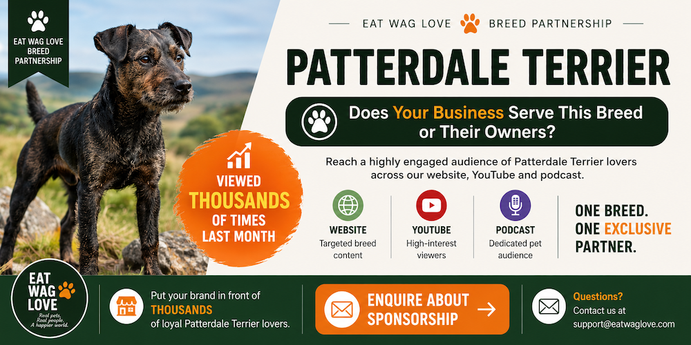 Patterdale Terrier Banner