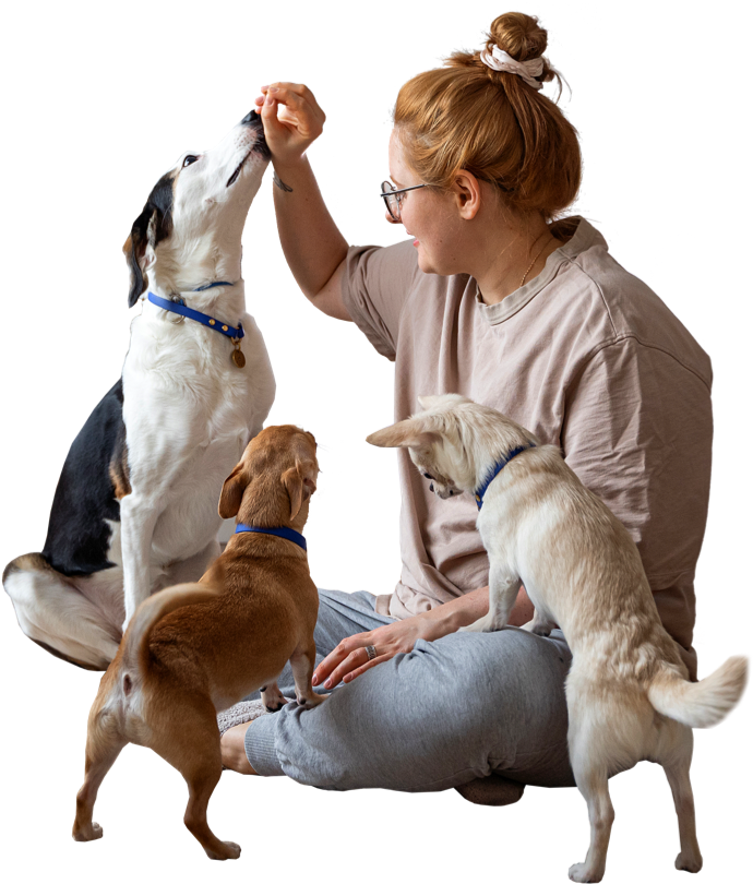 find dogs near me