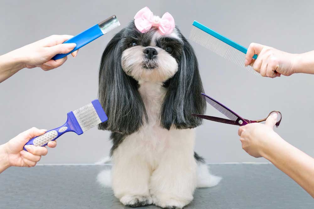 Pet Care Tutorials