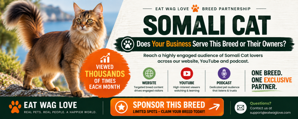 Sponsor The Somali Cat Breed Blog