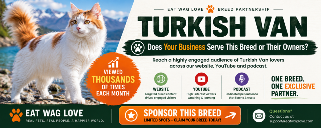 Sponsor the Turkish Van Breed Blog